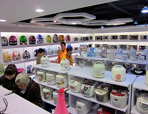 Investing in China's Small Household Appliances Market - China