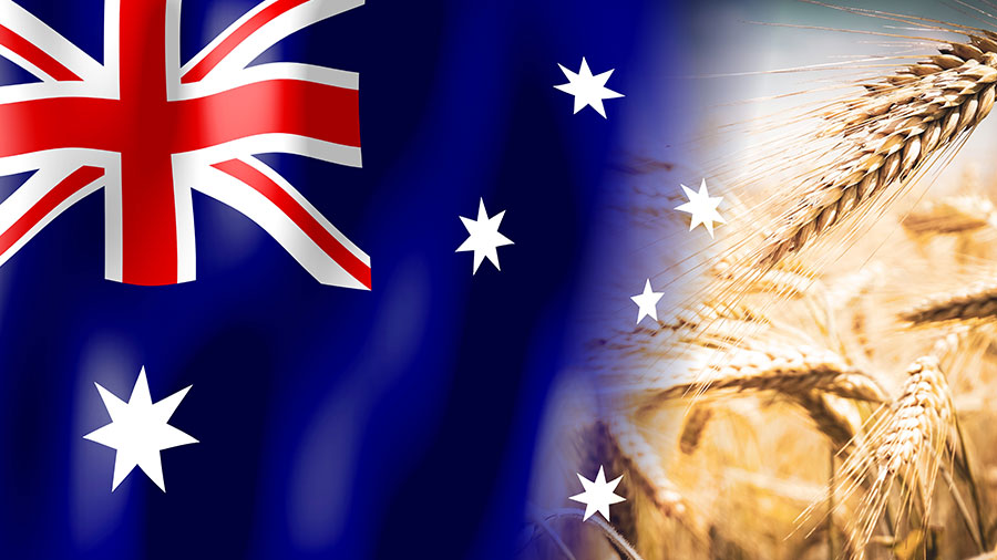 China Removes Barley Tariffs on Australia