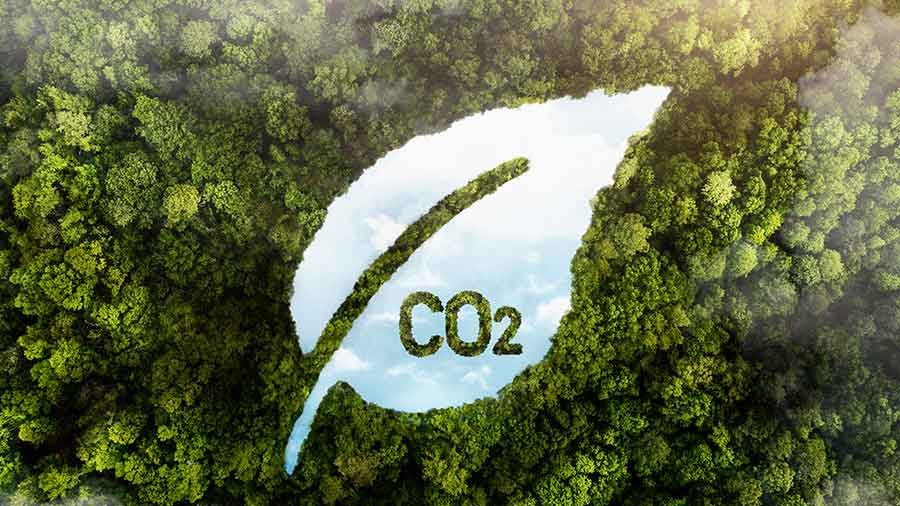 Understanding China’s New Carbon Accounting Plan: Green Compliance and Opportunities